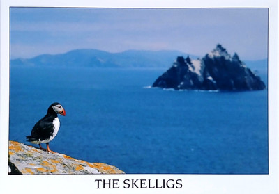 Papageientaucher auf Little Skellig Co Kerry Irland Postkarte - ungelaufen