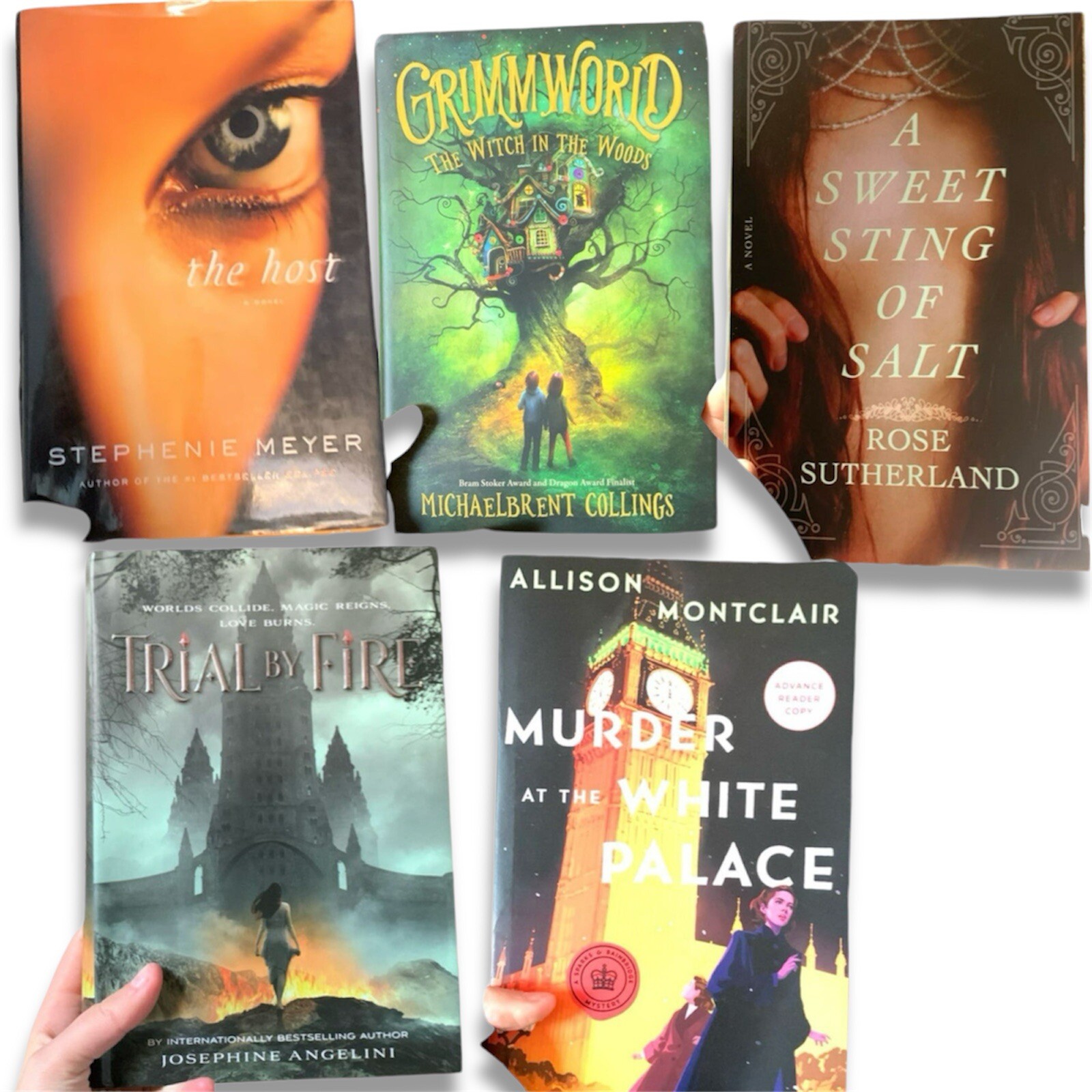 Lot of 5 Bestselling Fantasy BookTok Favorites Books YA Trial By Fire Romance