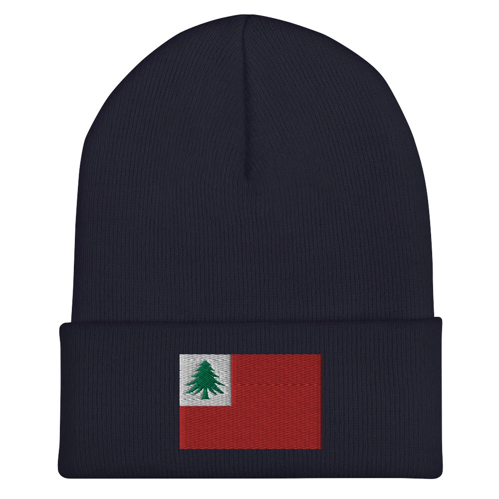 NEW ENGLAND FLAG BEANIE WINTER HAT *EMBROIDERED* KNIT HISTORY TREE VT CT NH MA