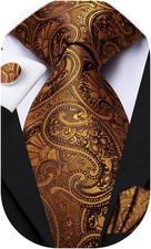 Mens Paisley Floral Silk Tie for Men Striped Necktie and Pocket Square Cufflinks