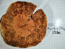 A102 Spalted Ambrosia Maple Burl Tree Slice Cookie 19x19x1 3/4-2