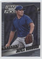 2014 Panini Prizm Perennial Draft Picks James Norwood #65 ez4