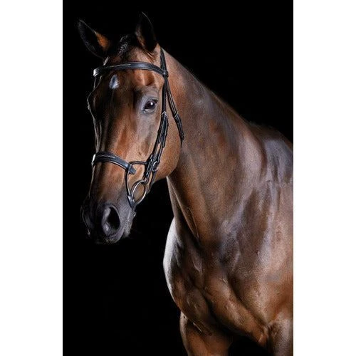 Collegiate Comfitec Bridle