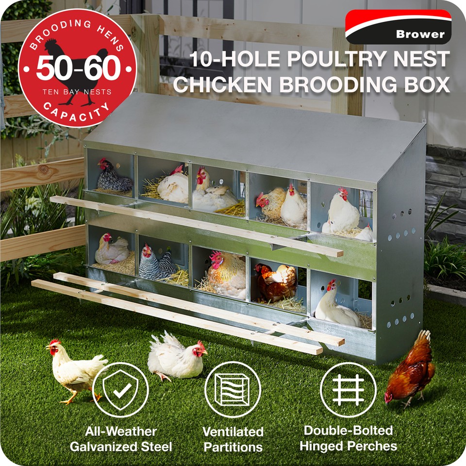 Brower 10-Hole Poultry Nest – Hühnerlegekasten Für Bis Zu 60 Hennen