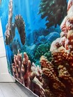 Foto 11 di 13