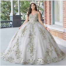 Grey Spaghetti Straps Ball Gown Sweet16 Quinceanera Dress Applique BirthdayParty