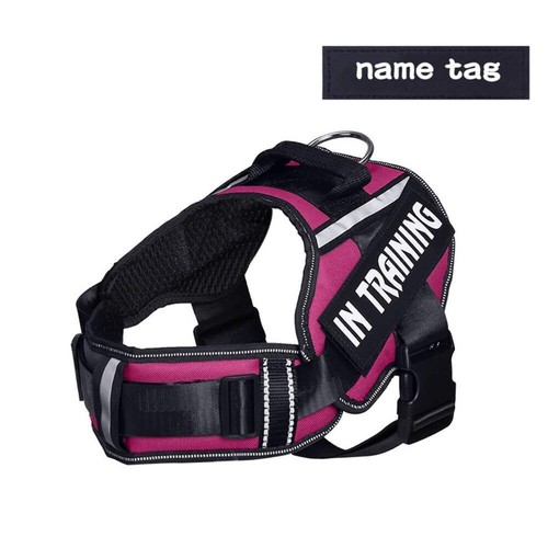 Personalised No-Pull Padded Dog Harness Small Medium Dogs Safety Strip Colourful - Picture 42 of 42