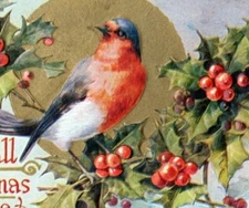 Postcard Christmas  Blue Bird Holly Bush Embossed Gold