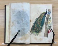 1851 The Family Circle & Parlor Annual - Vol. IX - Nine Stunning Col. Plates