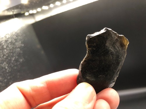 (81.83g) Indochinite Tektite Black Natural Meteorite 5pc Original Unique #S158 - 第 4/8 張圖片