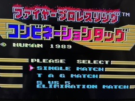 PC Engine Fire Pro Wrestling Combo Japan, vintage, used, with manual Japan 4h