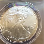 U.S. Mint American Eagle 2001 1 oz Silver Coin .999 Fine