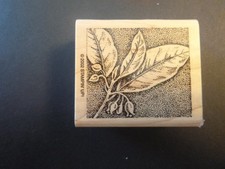 Leaves with background - Rubber Stamp - Wood Mounted - NEW