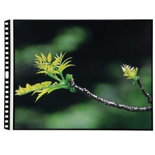 Itoya Art Profolio 17x11" Crystal Clear PolyGlass Pages, Landscape, 10 Pages Per