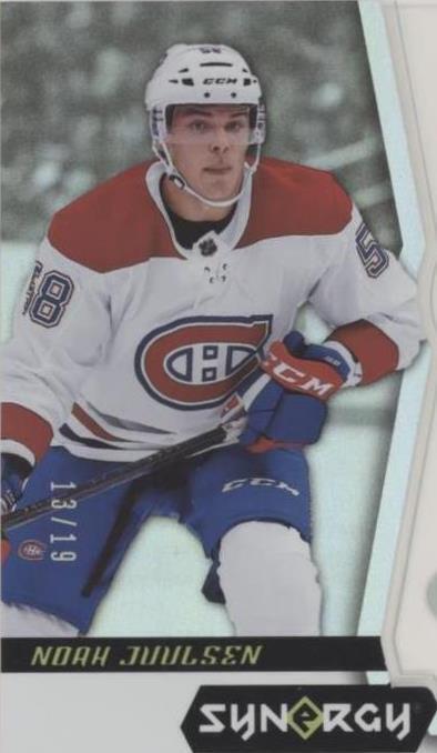 2018-19 Upper Deck Synergy - Noah Juulsen #74 - 1 of 1