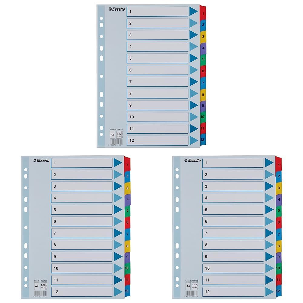 Esselte 100162 A4 1-12 Index, Heavy Duty Cardboard with Mylar Reinforced Tabs, B