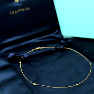 Tiffany & Co. 18k Elsa Peretti Diamonds by the Yard .30ctw 16.5" Necklace D 164