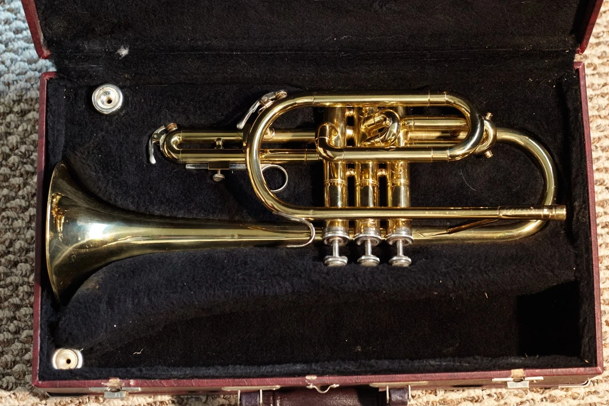 holton collegiate cornet products for sale | eBay