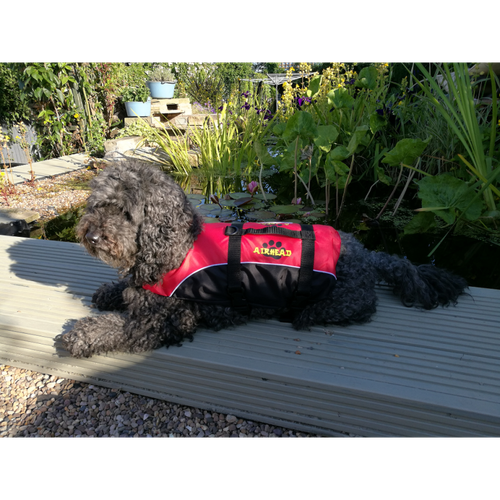 best life jacket for standard poodle