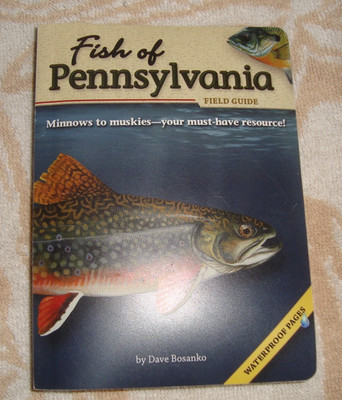 Fish of Pennsylvania Field Guide by Bosanko, Dave GOOD