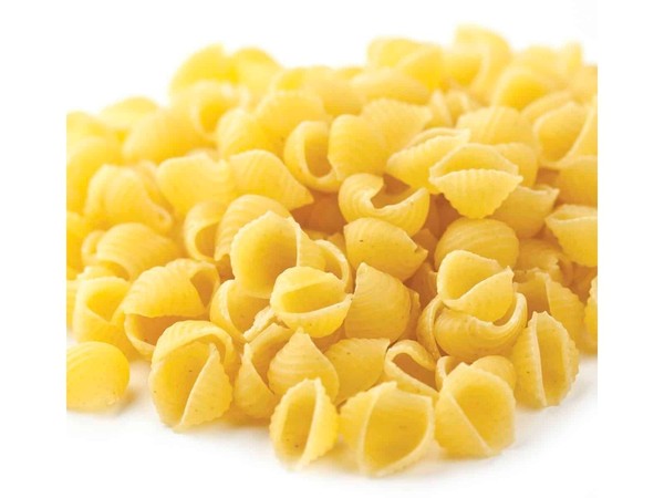 Caja de 10 lb conchas de pasta tamaño mediano