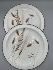 Midwinter Stonehenge Wild Oats 8 3/4" salad  plates, Set of 2 made in England