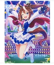 Tokai Teio Campus Tapestry A2 Ichiban Lottery Uma Musume