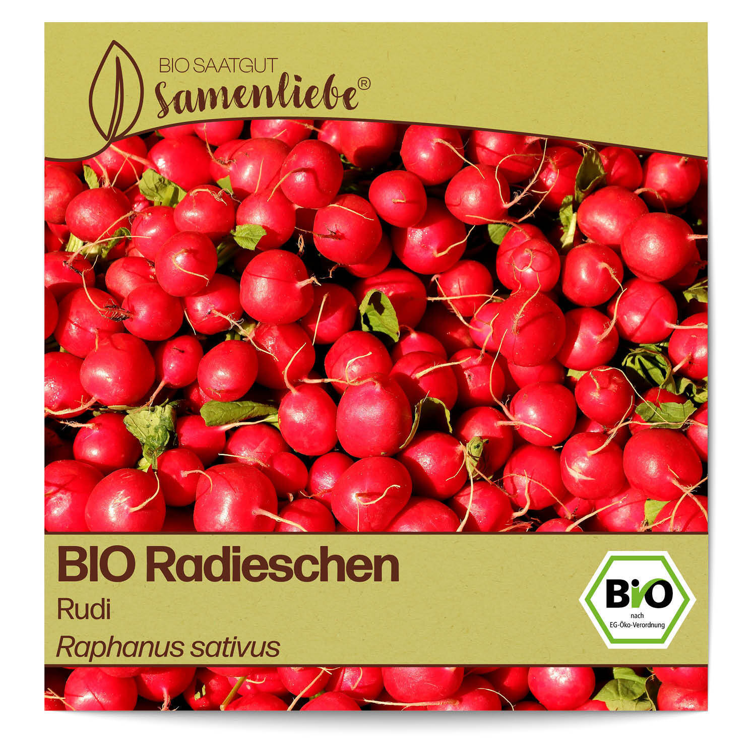 Bild 1 von 8