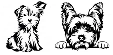 2 Pack Yorkie Graphic Black Vinyl Decal Car Truck Windows Tablet Tumblers Laptop