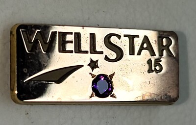 Wellstar Hospital 15 Years Employee Service Award Lapel Pin Amethyst 10k CTO