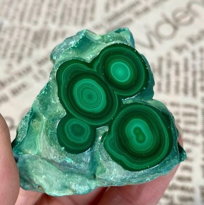 79G Top Natural Polyocular Malachite Quartz Crystal Gloss Mineral Specimen