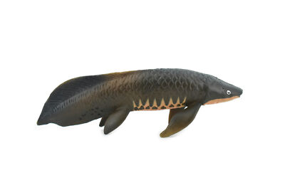 Arapaima Gigas Piraucu Amazon Fish, Realistic Toy Figurine 4.5