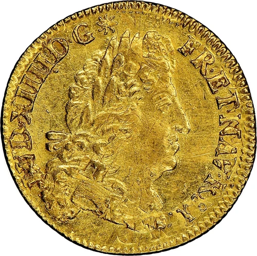 France ~ 1691A ~ Louis D’or ~ Gold ~ KM# 278.1 / #534 ~ NGC Cert ~ UNC Details