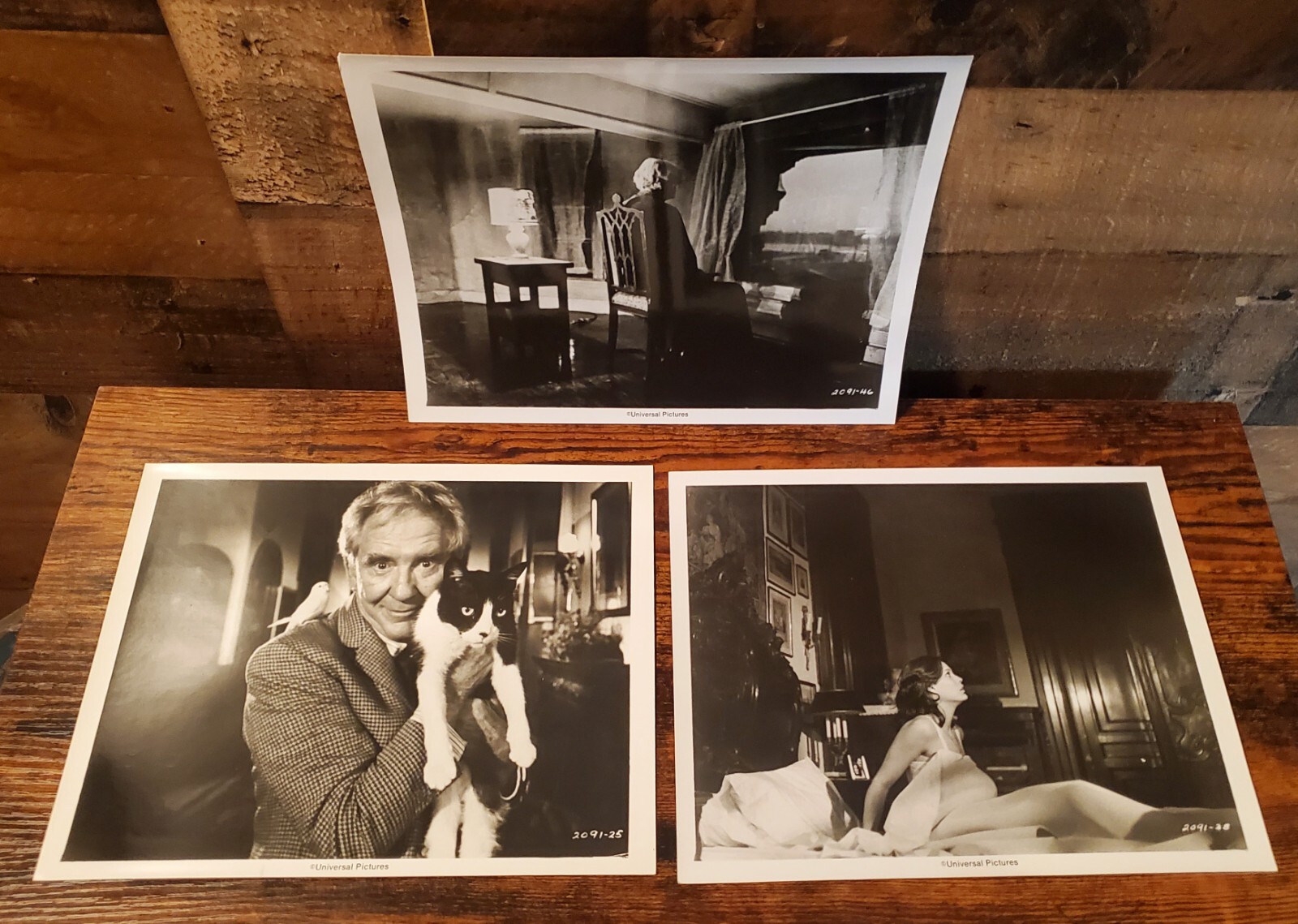 1977 "THE SENTINEL" Chris Sarandon Horror MOVIE PRESS KIT With Photos In FOLDER