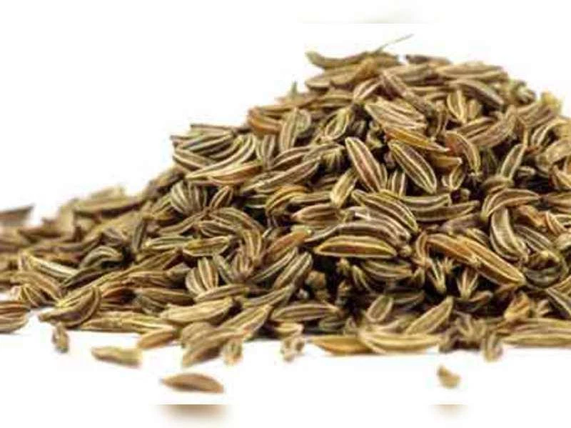 Cumin seeds discount