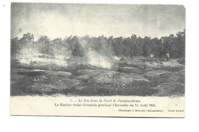 77 LE FEU DANS LA FORET DE FONTAINEBLEAU