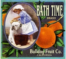 Marshall Canyon Bath Time Bulldog Dog Orange Citrus Fruit Crate Label Art Print