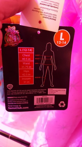 Size LARGE Wizard of Oz Wicked Glinda Good Witch Costume Dress, Crown NEW W/TAGS - Picture 8 of 9