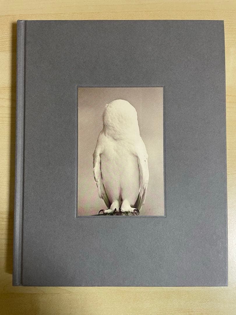 アート・デザイン・音楽 Masao Yamamoto Tori signed Masao Yamamoto Tori Signed Limited Edition Art Print Photography