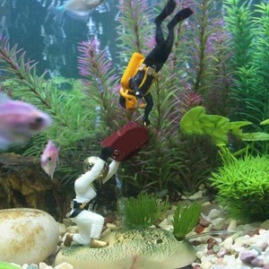 fun fish tank decorations