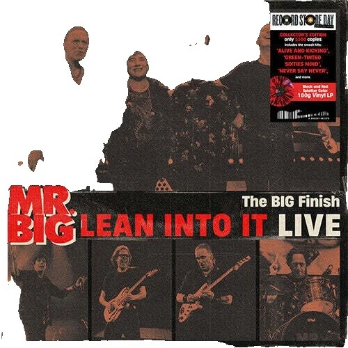 Rock Mr. Big Vinyl Records