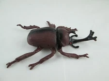 Beetle Rhinoceros King Bug Insect Large Plastic Greenbrier International Brown 6