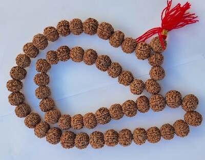 Genuine LARGE Rudraksha Japa Mala Beads Prayer Meditation