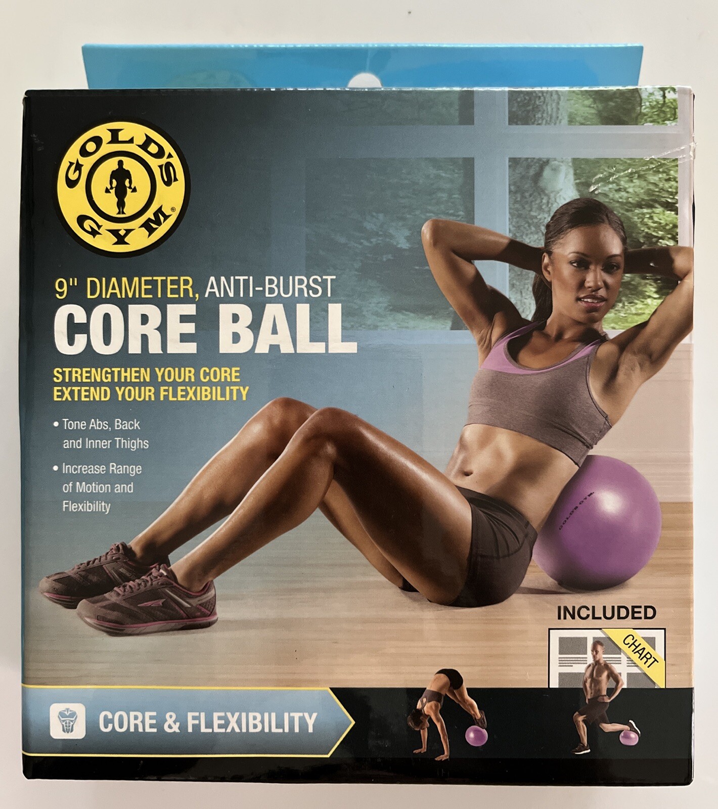 Golds Gym Anti Burst Core Ball 9 Inches In Diameter Purple With Exercise Chart