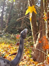 1989 Classic Tyco Dino Riders Brotosaurus(Articulable legs)