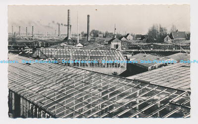 C019844 Een Glaszee Zover het Hund Reikt. Bloemencentrum Aalsmeer. Gerl. P. Jager