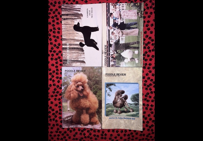 POODLE REVIEW Magazine #22 1996 (lot 4)