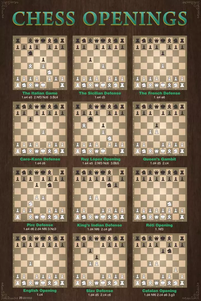 Caro-kann Defense Chess Opening Print Chess Poster Chess 