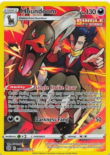 Houndoom TG10/TG30 Holo Brilliant Stars Trainer Gallery Pokemon NM