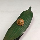 Picture 6 of 14
